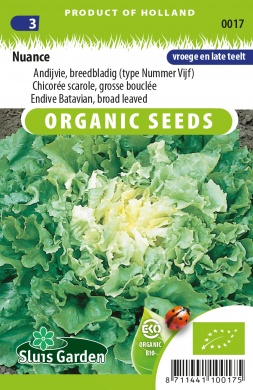 Endívia Batavian Nuance BIO cca 250 semien